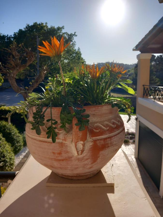 Heraklia's House Holiday home